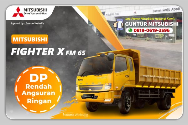 FUSO FIGHTER X FM 65